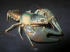 Filename=DaleWestabyHybridOPR.jpg
Filesize=111KiB
Dimensions=572x428
Date added=Jan 04, 2008 DaleWestabyHybridOPR.jpg