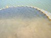 emeraldshinersfromthepond.jpg