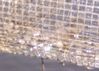 Filename=virilisintrap.jpg
Filesize=44KiB
Dimensions=600x430
Date added=Mar 20, 2008 virilisintrap.jpg